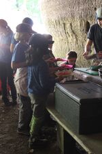 IMG_1637.jpeg